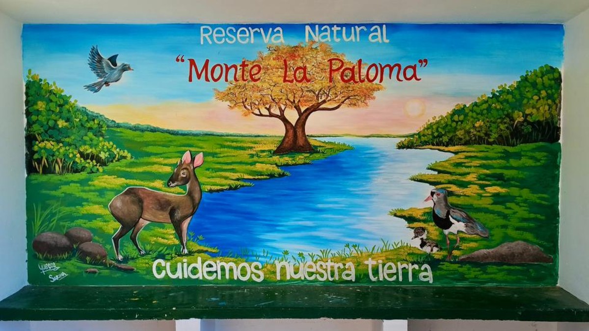 Colores que nacen de la tierra